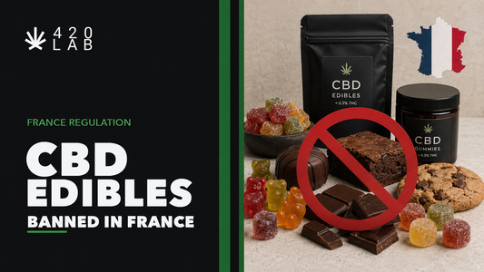 article de blog 420LAB CBD B2B sur l'interdiction du CBD alimentaire en france