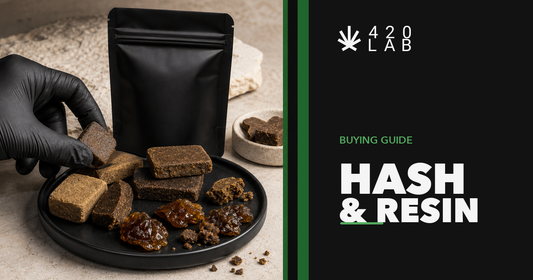 Hash et résines CBD wholesale - guide d'achat B2B 420LAB pour CBD shops Europe (dry sift, ice-o-lator, marocain)