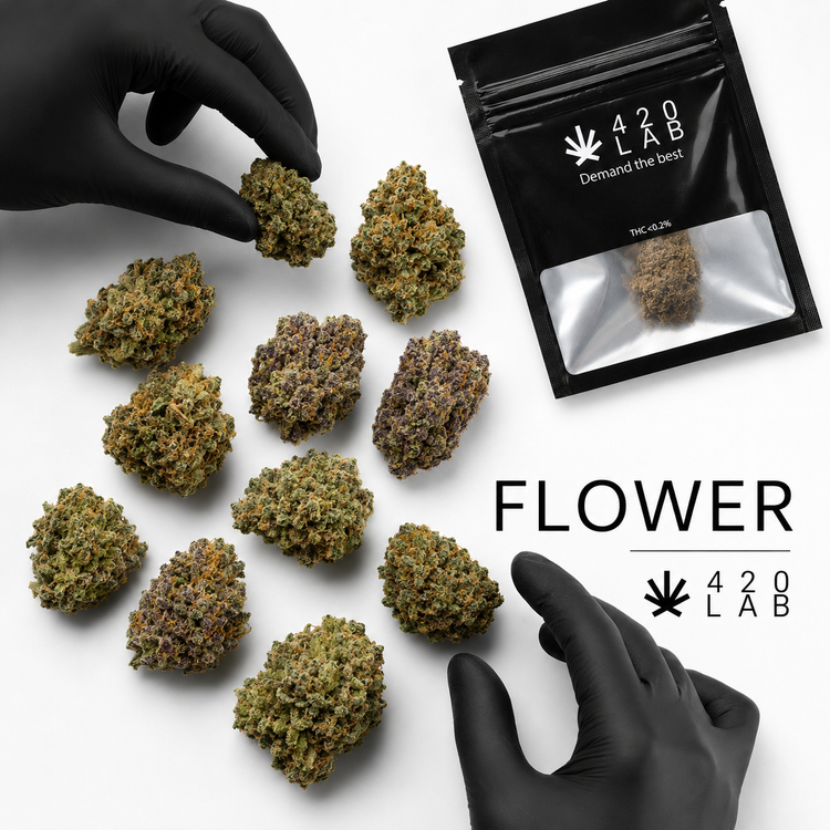 Fleurs CBD wholesale 420LAB - indoor, greenhouse et glasshouse pour professionnels B2B Europe