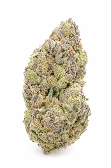 Alien OG CBD Flower wholesale 420LAB - produit CBD B2B Europe