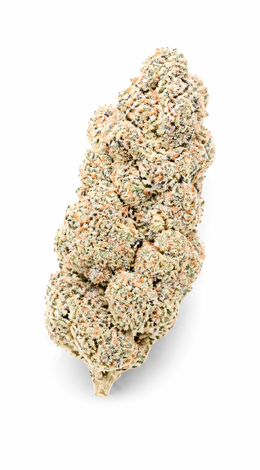 Gorilla Glue Fleur CBD Revuelto 2.0, Grossiste B2B