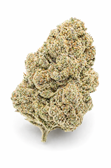 White Widow CBD Flower Greenhouse wholesale 420LAB - fleur CBD B2B Europe